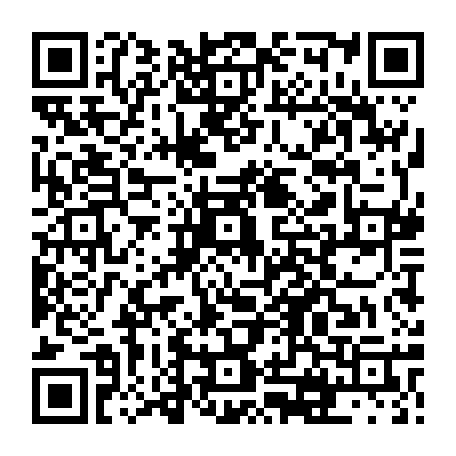 vCard 79230090003