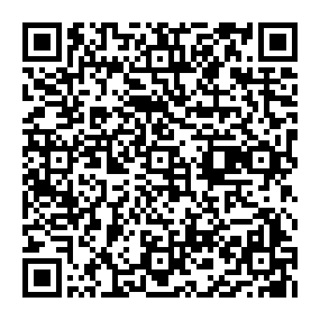 vCard 79230363413