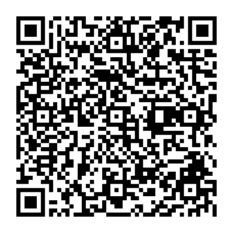 vCard 79230393563