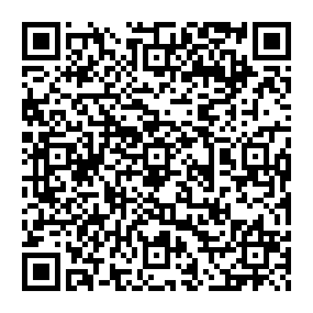vCard 79230498733