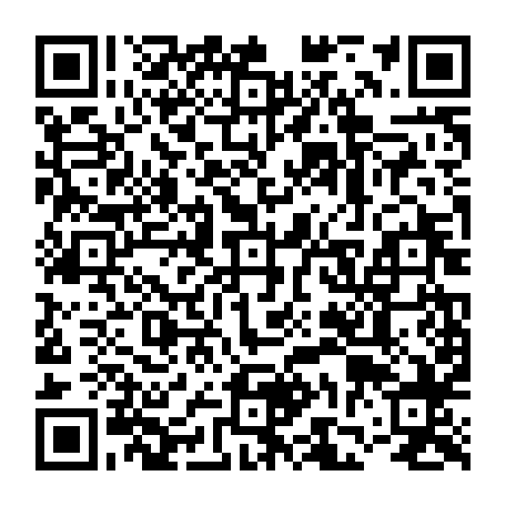 vCard 79231638082