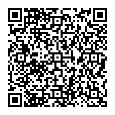 vCard 79231638286
