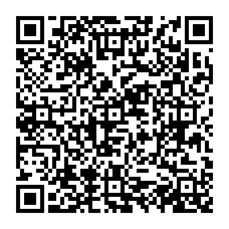 vCard 79231638301