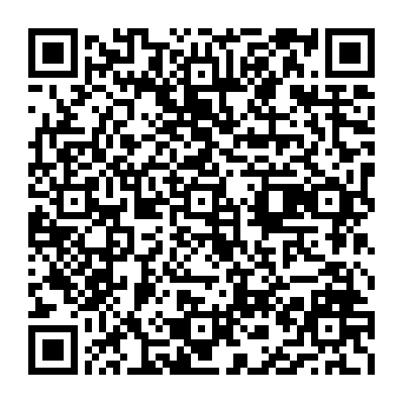 vCard 79231638374