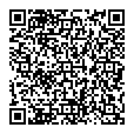 vCard 79231638767