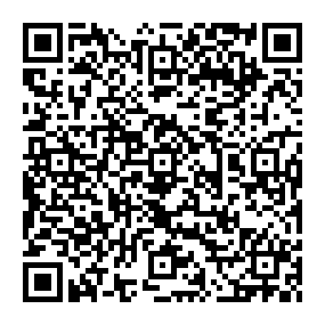 vCard 79231640003