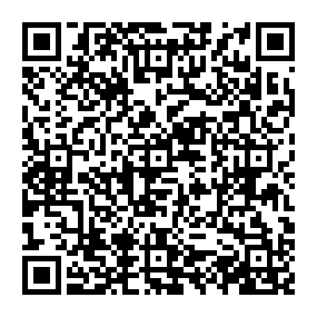 vCard 79231640065
