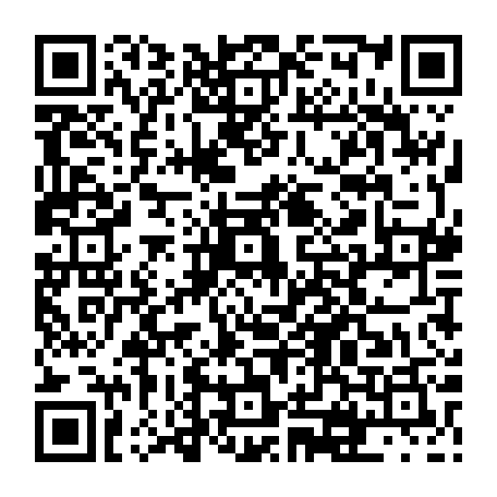 vCard 79231640707