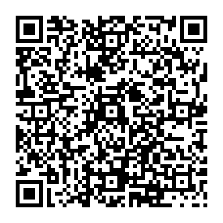 vCard 79231642496