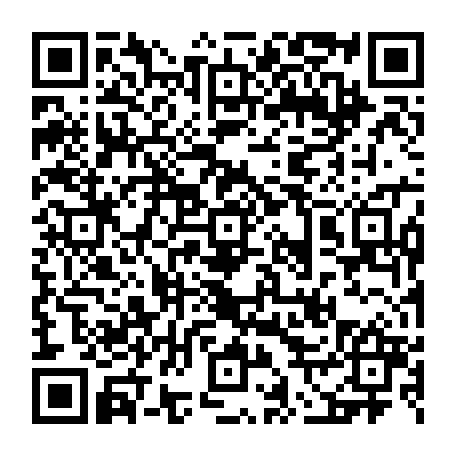 vCard 79231660381