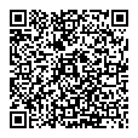 vCard 79231667013