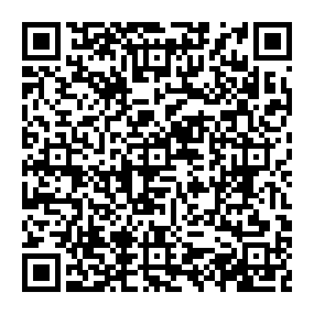 vCard 79231667229