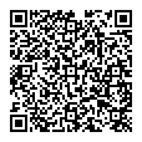 vCard 79231667354