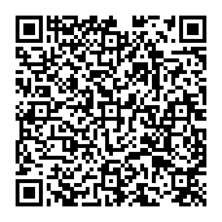 vCard 79231667389