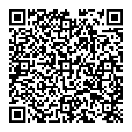 vCard 79231668019