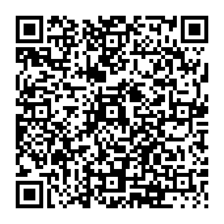 vCard 79231680003