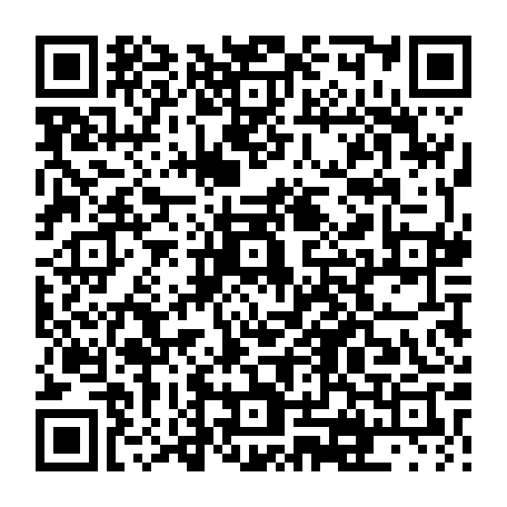 vCard 79231680339