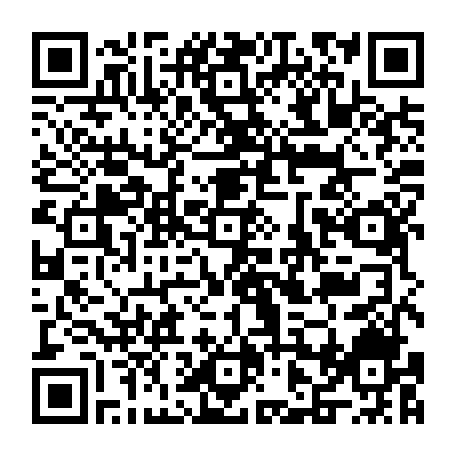 vCard 79231680417