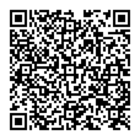 vCard 79231680418