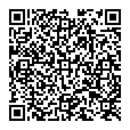 vCard 79231680451