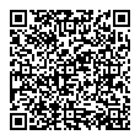 vCard 79231681001