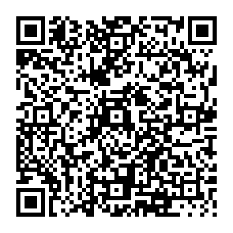 vCard 79231681038