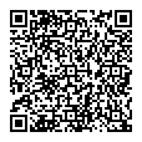 vCard 79231681041