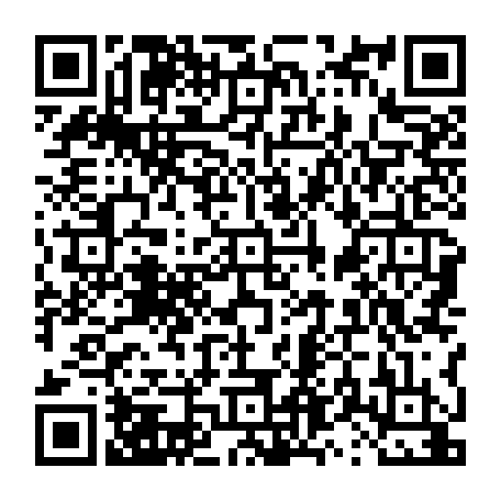 vCard 79231681234