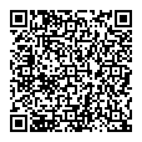 vCard 79231681334