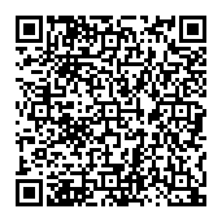 vCard 79231681339