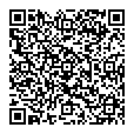 vCard 79231681383