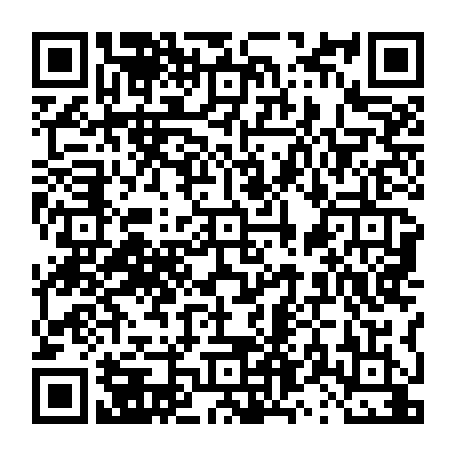 vCard 79231681541
