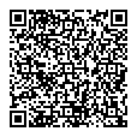 vCard 79231681617