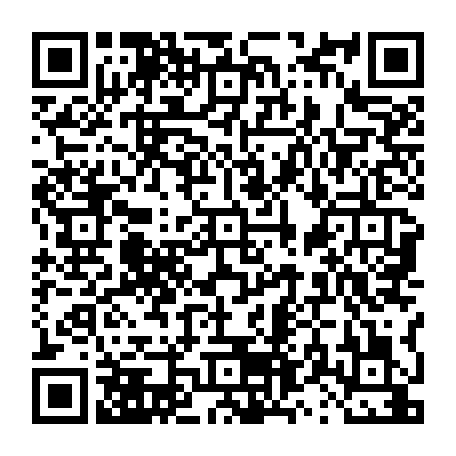 vCard 79231681633