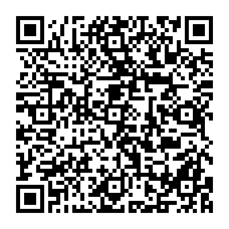 vCard 79231681637