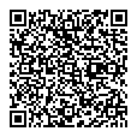 vCard 79231681697