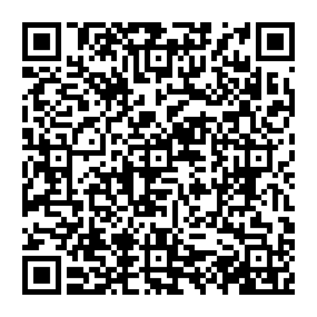 vCard 79231681729