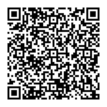 vCard 79231681733