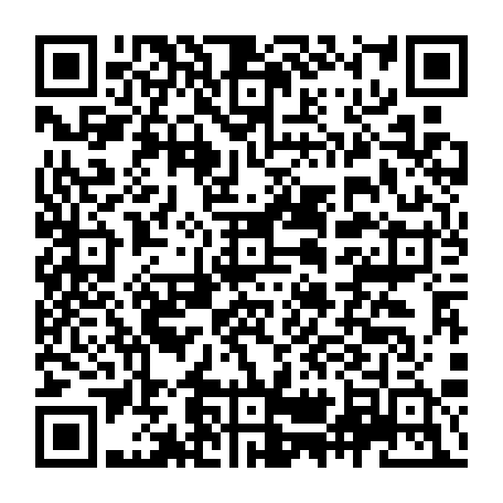 vCard 79231681738