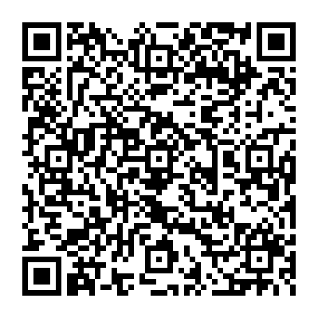 vCard 79231681769
