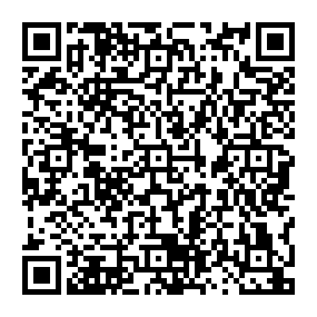 vCard 79231681773