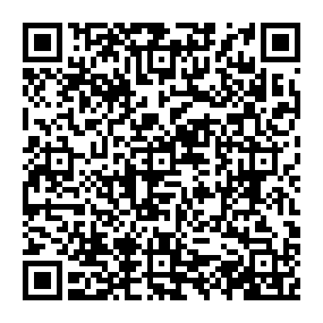 vCard 79231681777