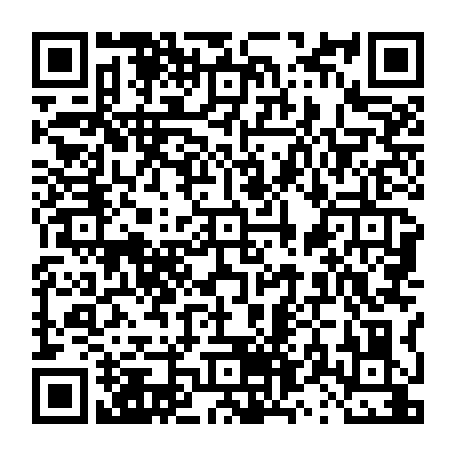 vCard 79231681803