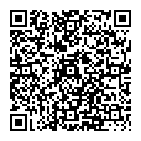 vCard 79231682085