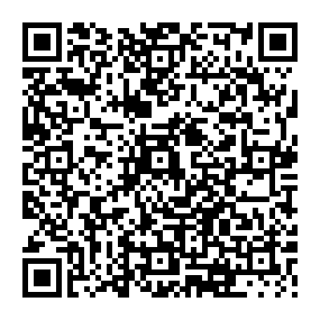 vCard 79231682777