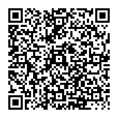 vCard 79231682911
