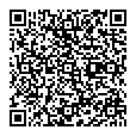 vCard 79231683087