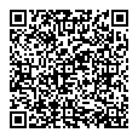 vCard 79231683137