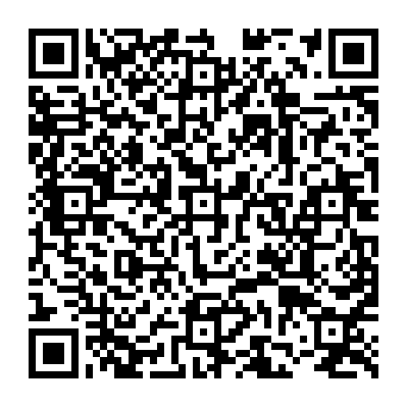 vCard 79231683217
