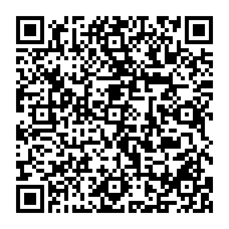 vCard 79231683238